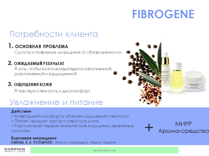 1. ОСНОВНАЯ ПРОБЛЕМА        Сухость и появление морщинок